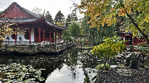 Reise der Kölner Lyceinnen zum Partnerschaftstreffen nach Groningen 2025